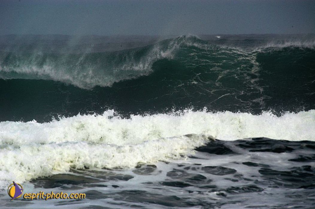 Nom de l'image : EP08-0358_(c)Norbert-JUNG — Description :